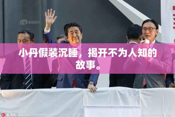 小丹假装沉睡，揭开不为人知的故事。