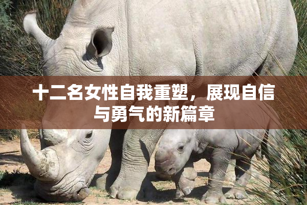 十二名女性自我重塑，展现自信与勇气的新篇章