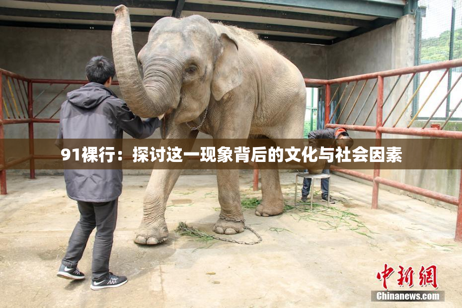 91裸行：探讨这一现象背后的文化与社会因素