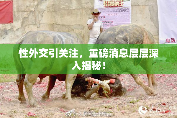 性外交引关注，重磅消息层层深入揭秘！