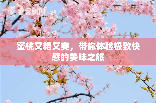 蜜桃又粗又爽，带你体验极致快感的美味之旅