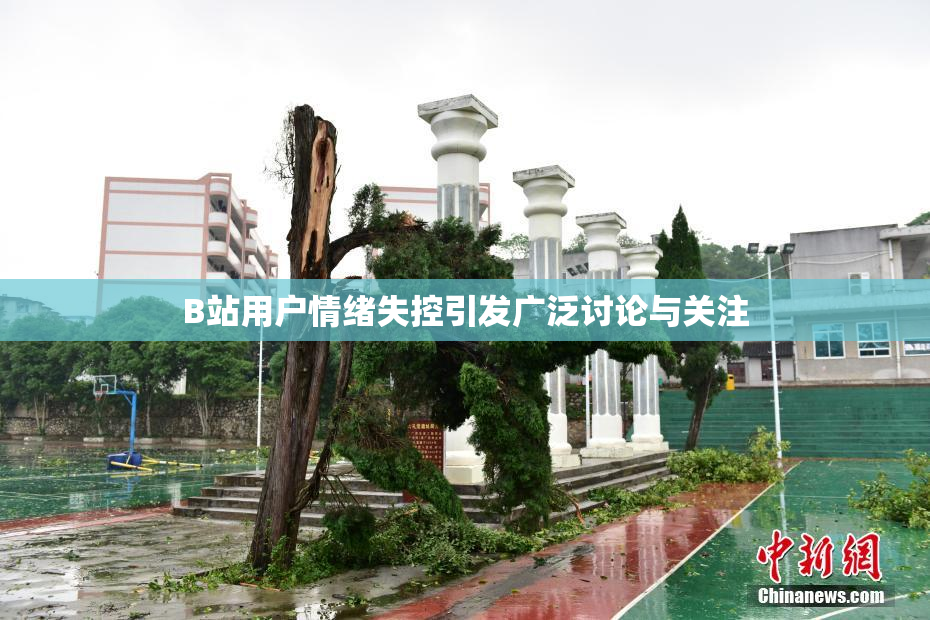 B站用户情绪失控引发广泛讨论与关注