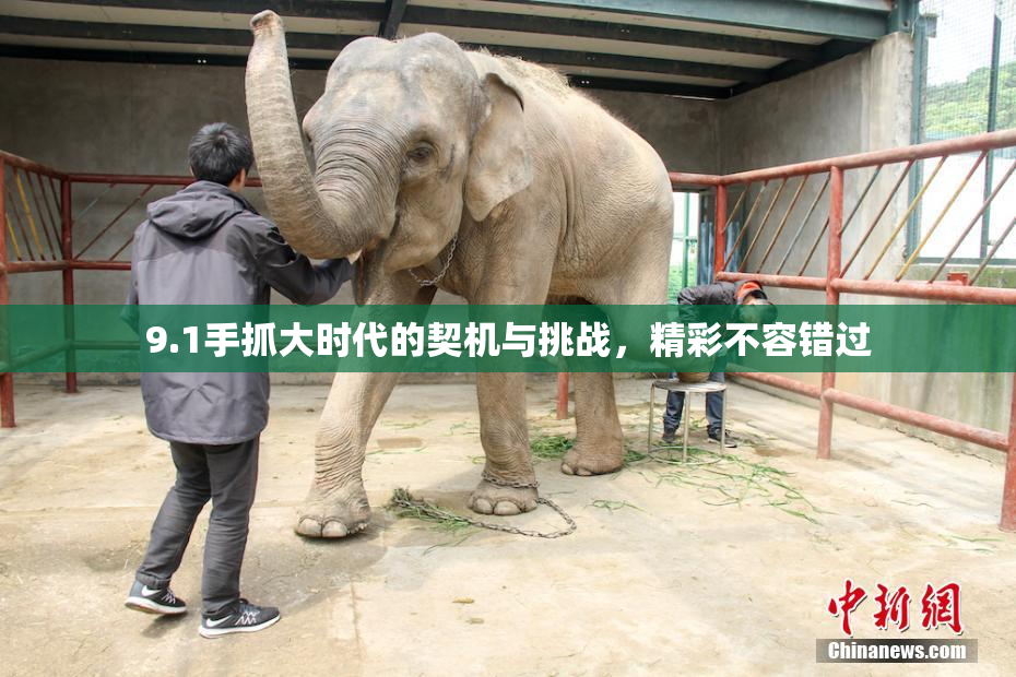 9.1手抓大时代的契机与挑战，精彩不容错过