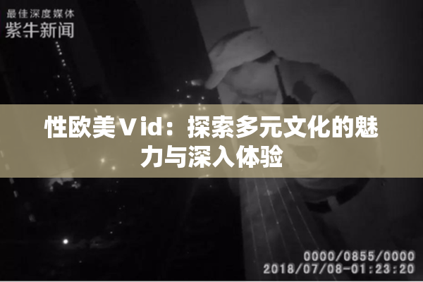 性欧美Ⅴid：探索多元文化的魅力与深入体验