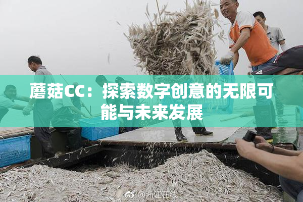 蘑菇CC：探索数字创意的无限可能与未来发展