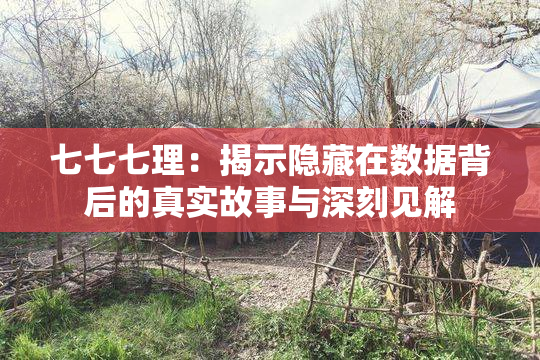 七七七理：揭示隐藏在数据背后的真实故事与深刻见解