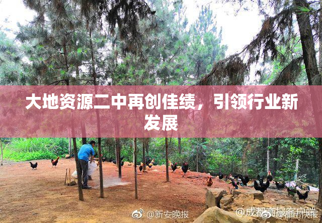 大地资源二中再创佳绩，引领行业新发展
