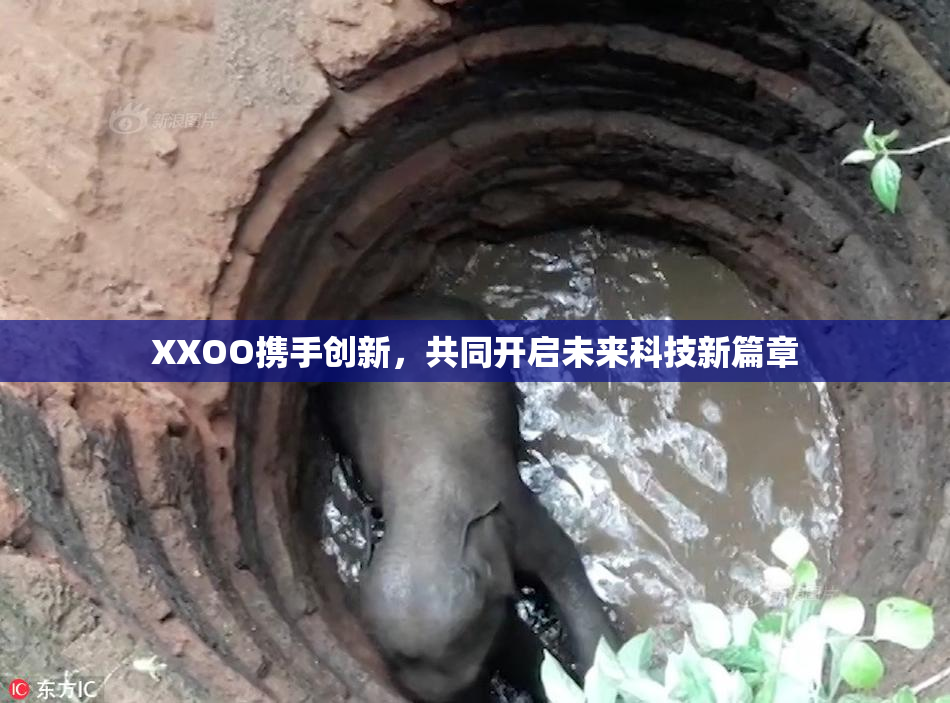 XXOO携手创新，共同开启未来科技新篇章