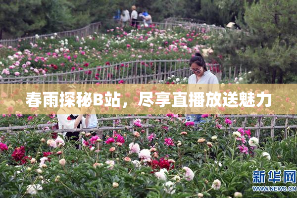 春雨探秘B站，尽享直播放送魅力