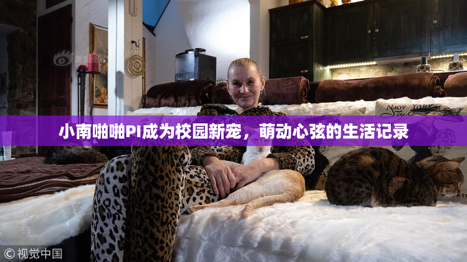 小南啪啪PI成为校园新宠，萌动心弦的生活记录