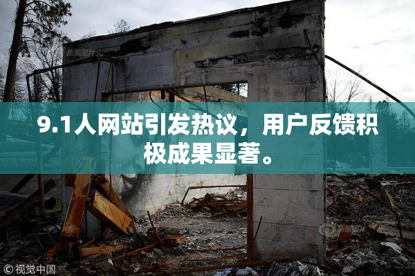 9.1人网站引发热议，用户反馈积极成果显著。