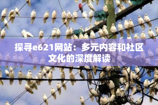 探寻e621网站：多元内容和社区文化的深度解读