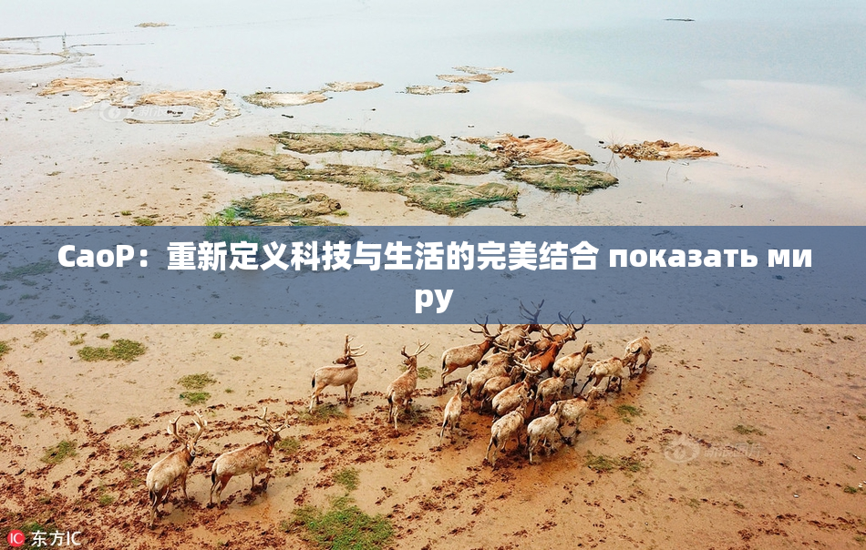 CaoP：重新定义科技与生活的完美结合 показать миру