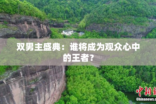 双男主盛典：谁将成为观众心中的王者？