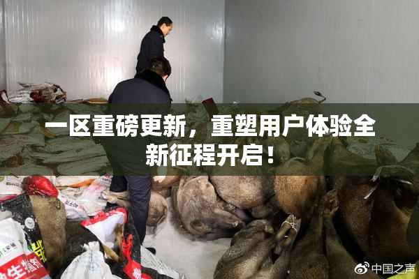 一区重磅更新，重塑用户体验全新征程开启！