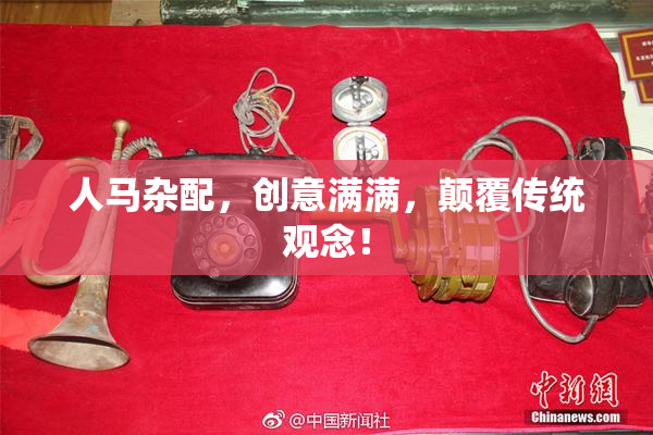 人马杂配，创意满满，颠覆传统观念！