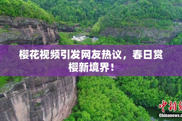樱花视频引发网友热议，春日赏樱新境界！
