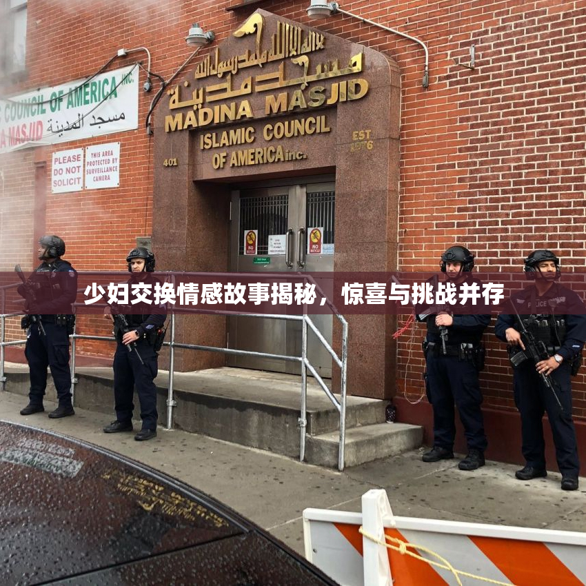 少妇交换情感故事揭秘，惊喜与挑战并存