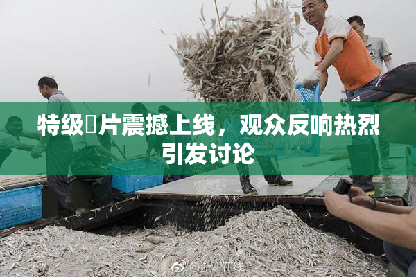 特级婬片震撼上线，观众反响热烈引发讨论