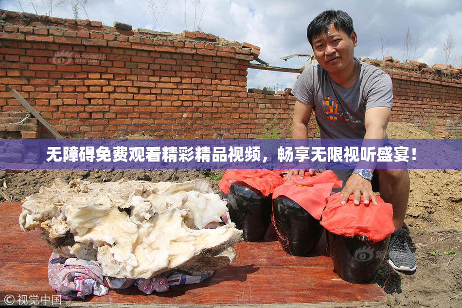 无障碍免费观看精彩精品视频，畅享无限视听盛宴！