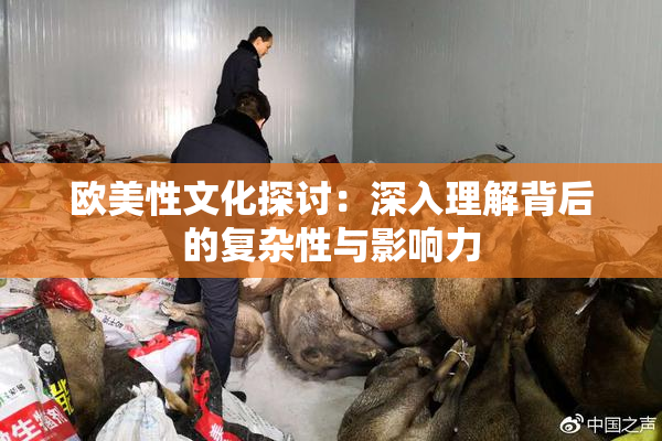 欧美性文化探讨：深入理解背后的复杂性与影响力