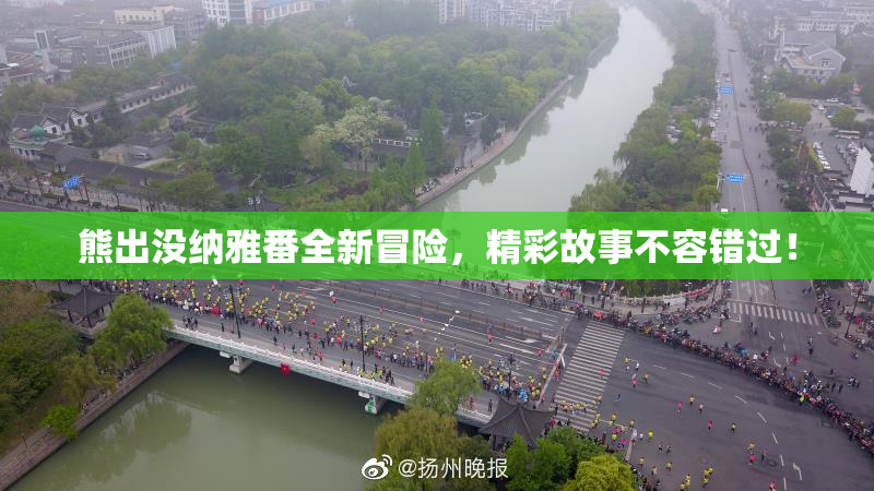 熊出没纳雅番全新冒险，精彩故事不容错过！