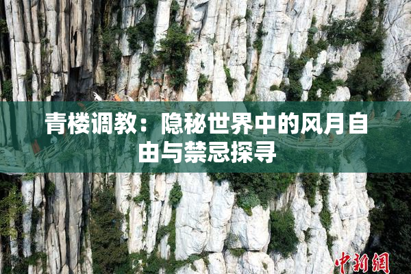 青楼调教：隐秘世界中的风月自由与禁忌探寻