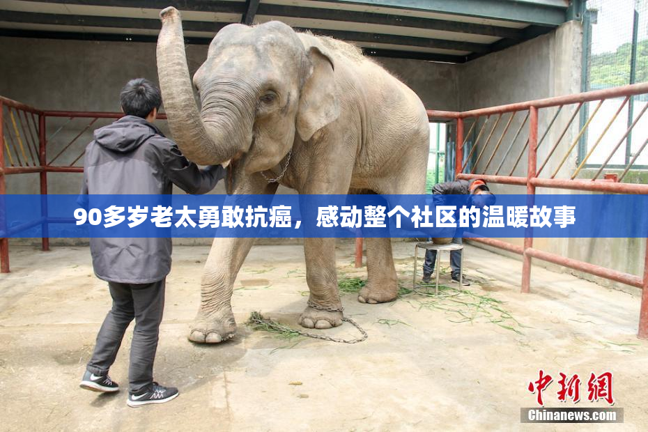 90多岁老太勇敢抗癌，感动整个社区的温暖故事