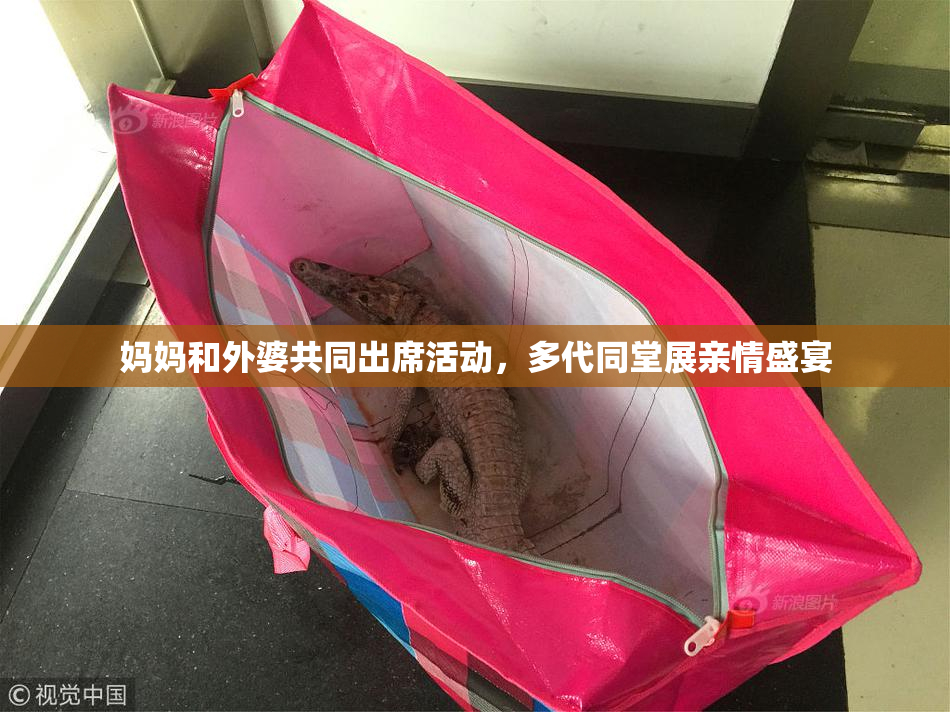 妈妈和外婆共同出席活动，多代同堂展亲情盛宴
