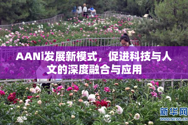 AANi发展新模式，促进科技与人文的深度融合与应用