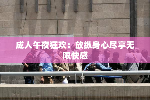 成人午夜狂欢：放纵身心尽享无限快感