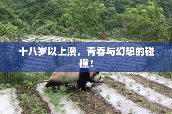 十八岁以上漫，青春与幻想的碰撞！
