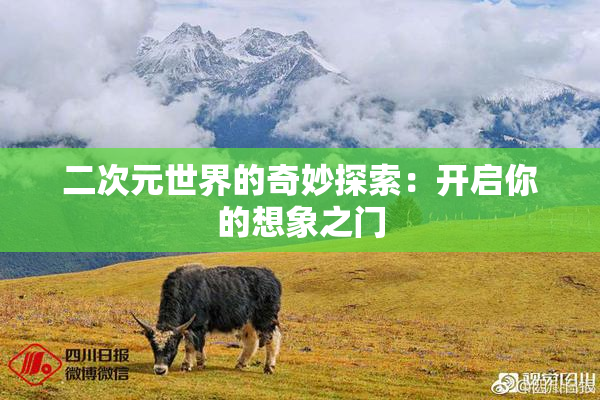 二次元世界的奇妙探索：开启你的想象之门