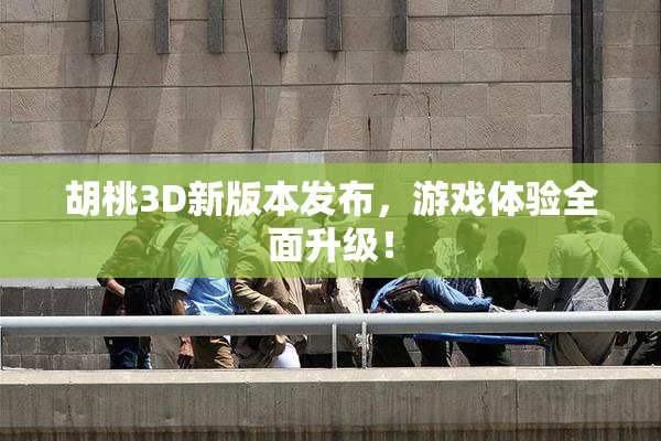 胡桃3D新版本发布，游戏体验全面升级！