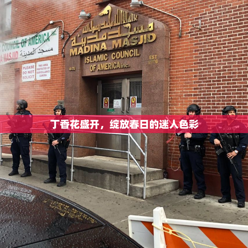 丁香花盛开，绽放春日的迷人色彩