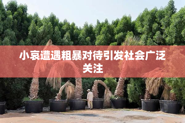 小哀遭遇粗暴对待引发社会广泛关注
