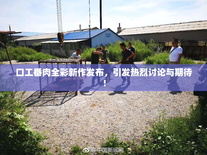 口工番肉全彩新作发布，引发热烈讨论与期待！