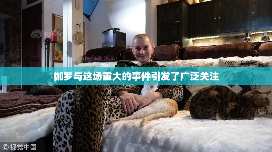 伽罗与这场重大的事件引发了广泛关注