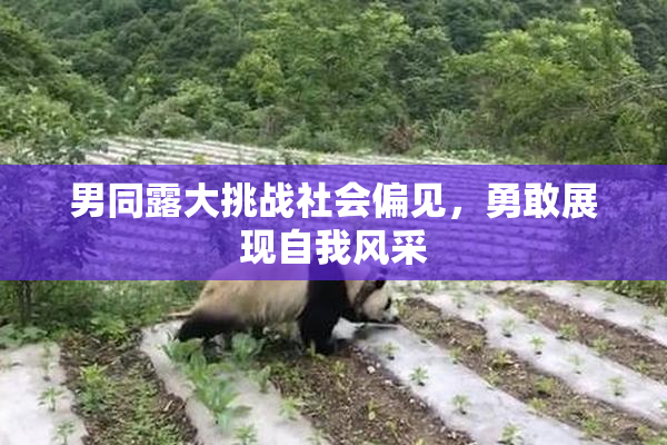 男同露大挑战社会偏见，勇敢展现自我风采