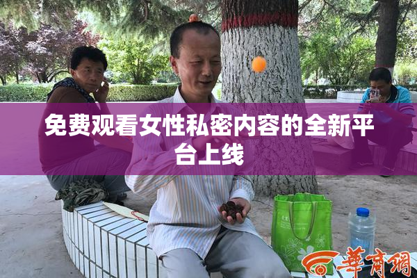 免费观看女性私密内容的全新平台上线