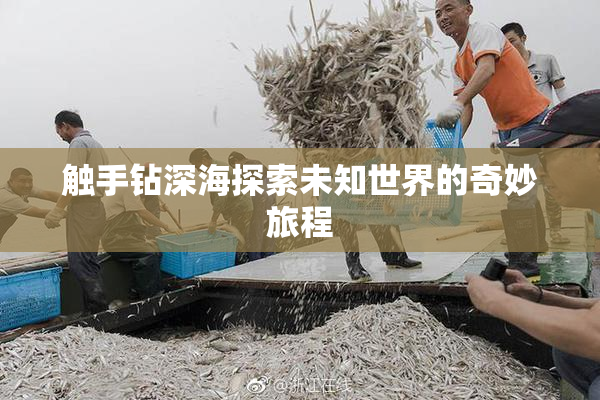 触手钻深海探索未知世界的奇妙旅程