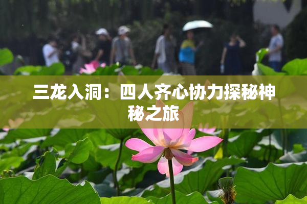 三龙入洞：四人齐心协力探秘神秘之旅