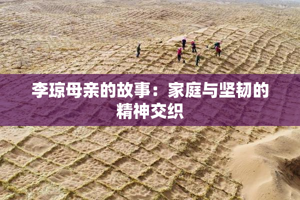 李琼母亲的故事：家庭与坚韧的精神交织