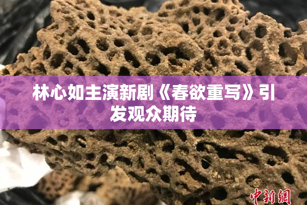 林心如主演新剧《春欲重写》引发观众期待