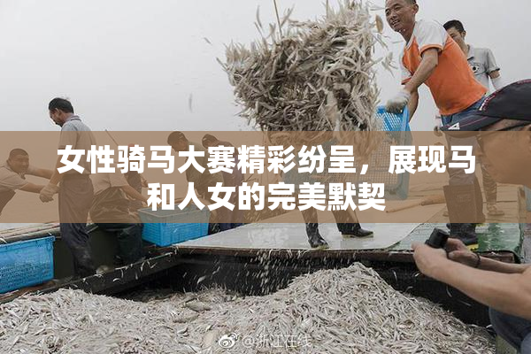 女性骑马大赛精彩纷呈，展现马和人女的完美默契