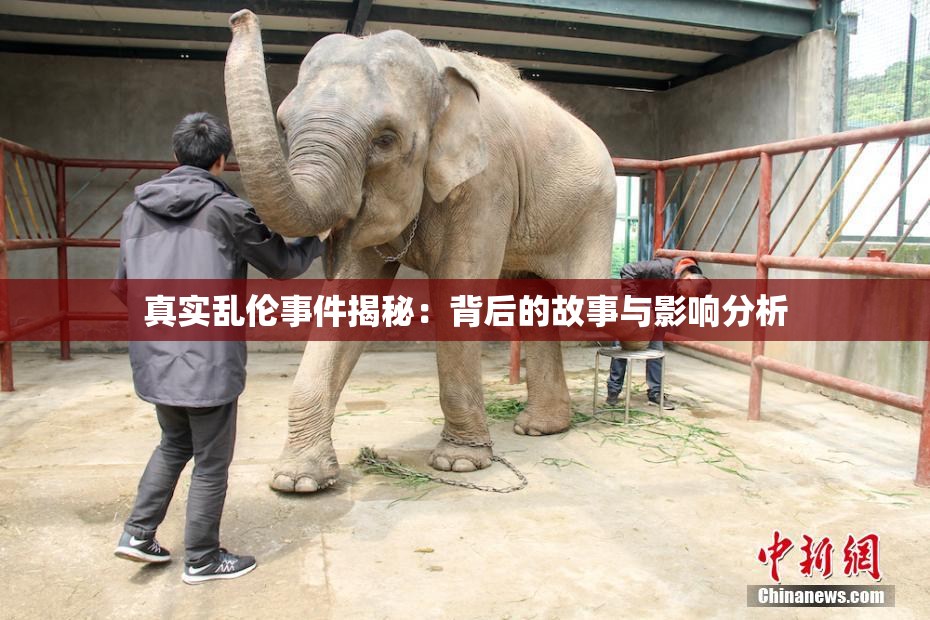 真实乱伦事件揭秘：背后的故事与影响分析