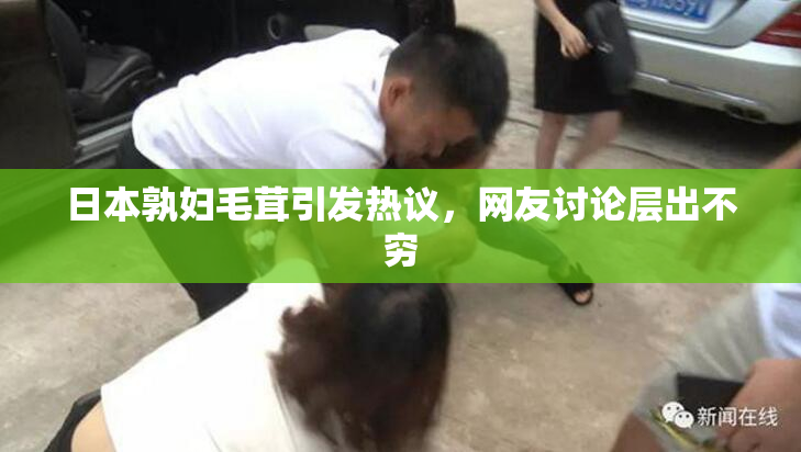 日本孰妇毛茸引发热议，网友讨论层出不穷
