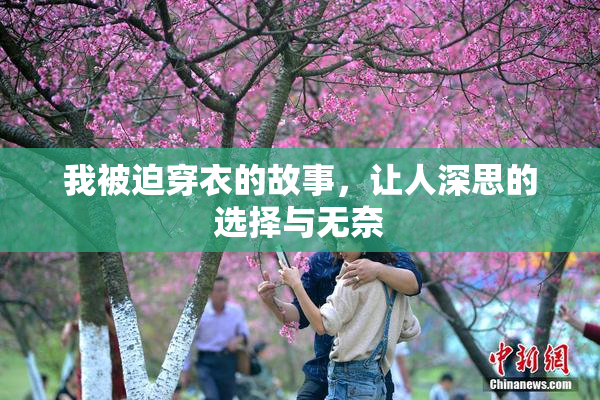 我被迫穿衣的故事，让人深思的选择与无奈