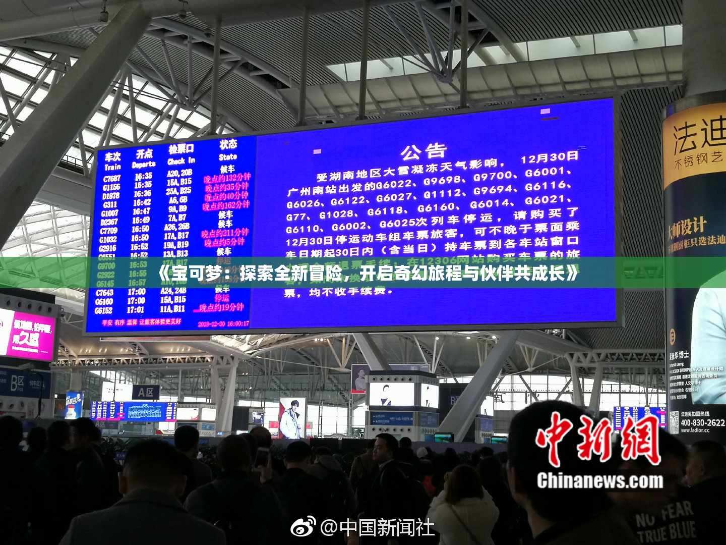 《宝可梦：探索全新冒险，开启奇幻旅程与伙伴共成长》