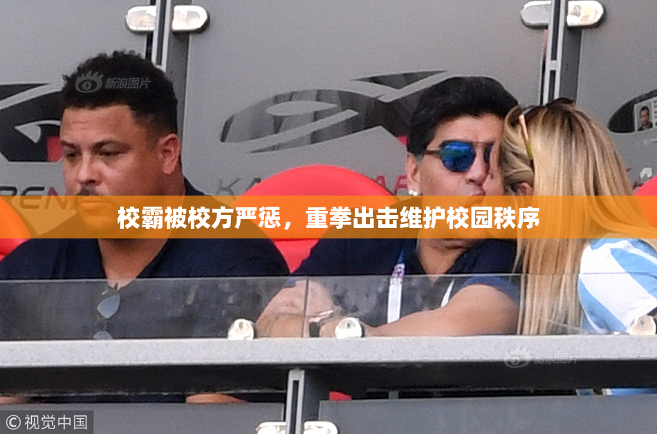 校霸被校方严惩，重拳出击维护校园秩序